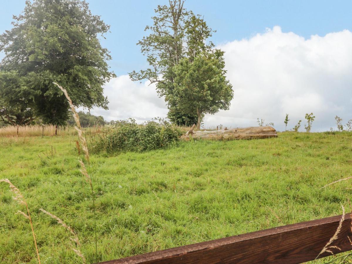 הוילה ננאג Meadow View מראה חיצוני תמונה